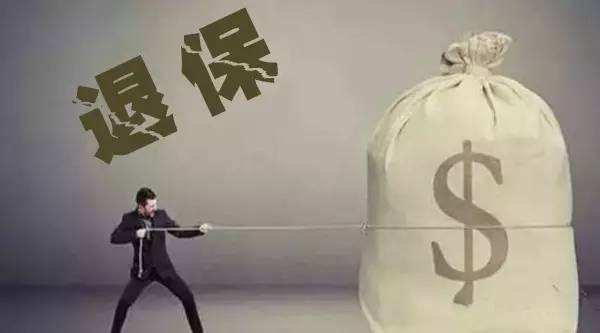 買(mǎi)的保險不想續保了能退嗎？