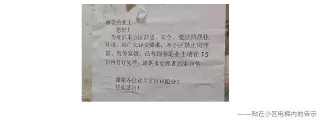 為什么不買(mǎi)保險就不讓養狗？