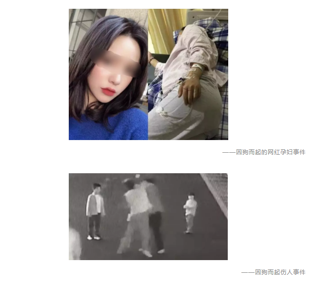 為什么不買(mǎi)保險就不讓養狗？