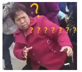 為什么不買(mǎi)保險就不讓養狗？