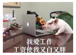 發(fā)生車(chē)禍如何快速理賠？