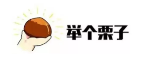 什么是年金轉換？