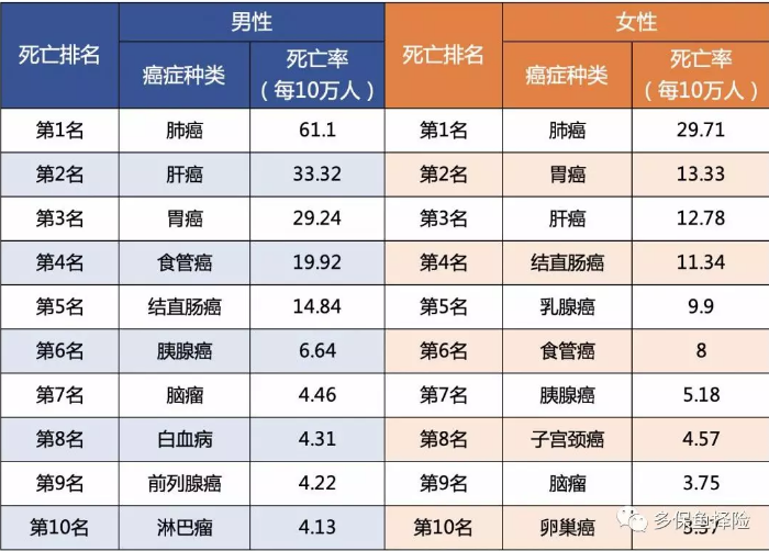 女性高發(fā)重疾怎么選？