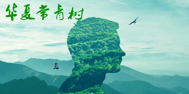 華夏常青樹(shù)多倍版和華夏福哪個(gè)好 包含自然身故嗎？